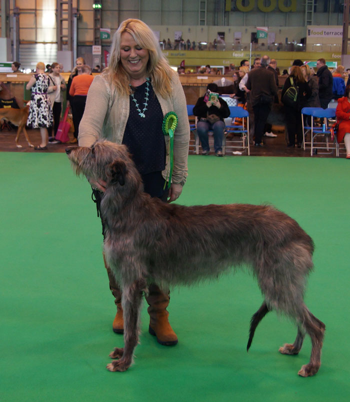 BItch RCC Crufts 2015